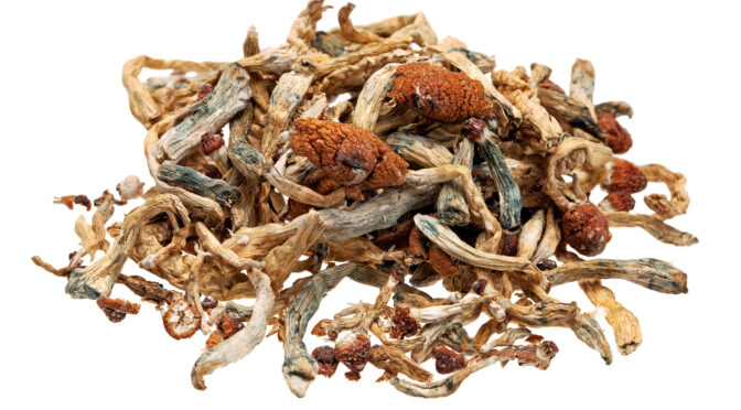 Marketing a Magic Mushroom Brand in a Restricted Market